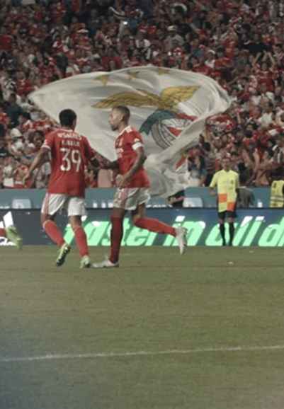 Fábrica dos Sonhos : Benfica