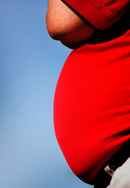 Facing the Fat Poster 2