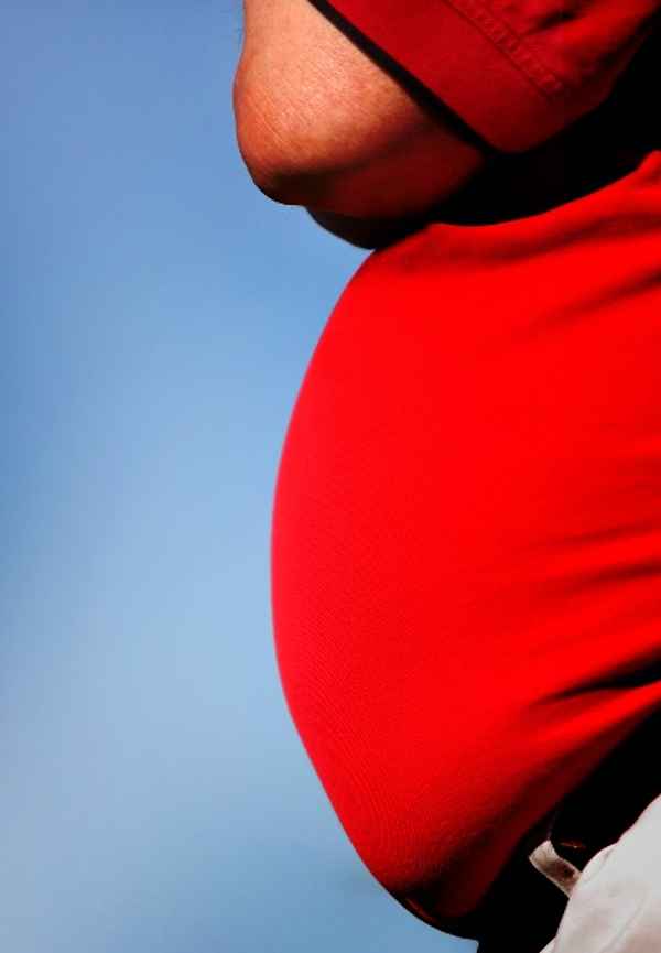 Facing the Fat Poster 2