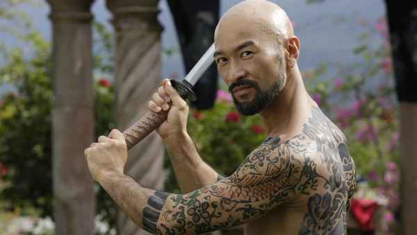 Falcon Rising Poster 5