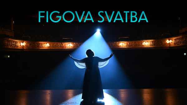 Falling for Figaro Poster 3