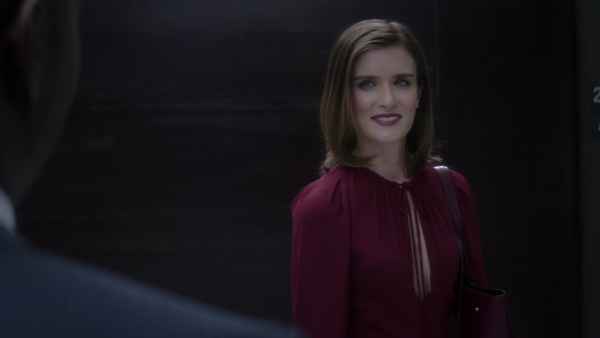 Falling Water Poster 5