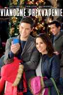 Family for Christmas Poster 6