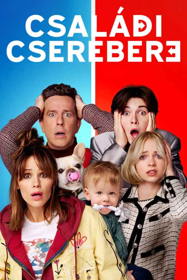 Family Switch Poster 7