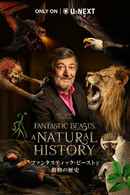 Fantastic Beasts: A Natural History Poster 4