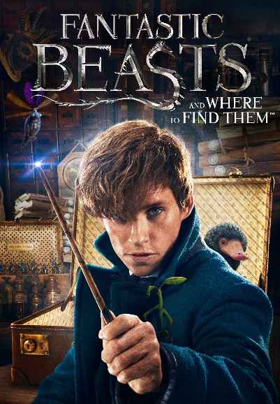 Fantastic Beasts and Where to Find Them