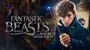 Fantastic Beasts and Where to Find Them Poster 4