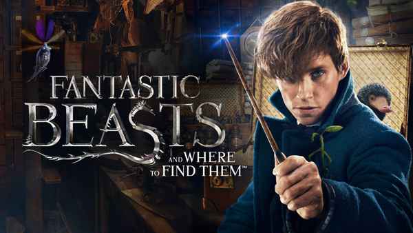 Fantastic Beasts and Where to Find Them Poster 4