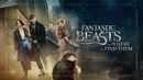 Fantastic Beasts and Where to Find Them Poster 1