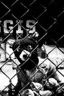 Fantastic Mr. Fox Poster 7