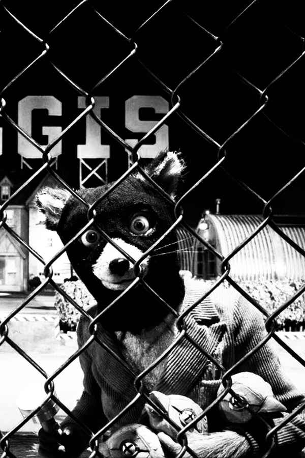 Fantastic Mr. Fox Poster 7