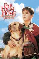 Far From Home: The Adventures Of Yellow Dog Poster 6