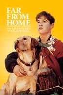 Far From Home: The Adventures Of Yellow Dog Poster 3