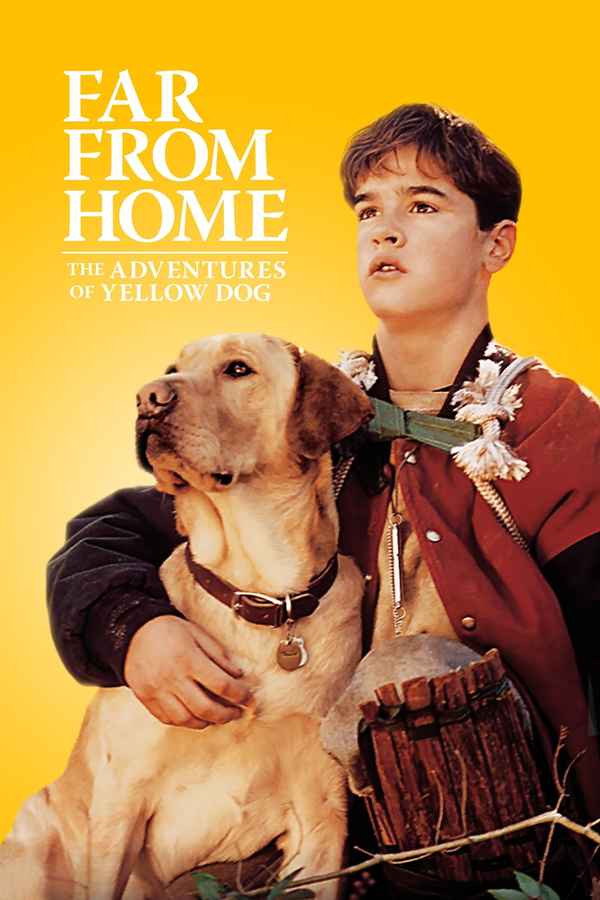 Far From Home: The Adventures Of Yellow Dog Poster 3