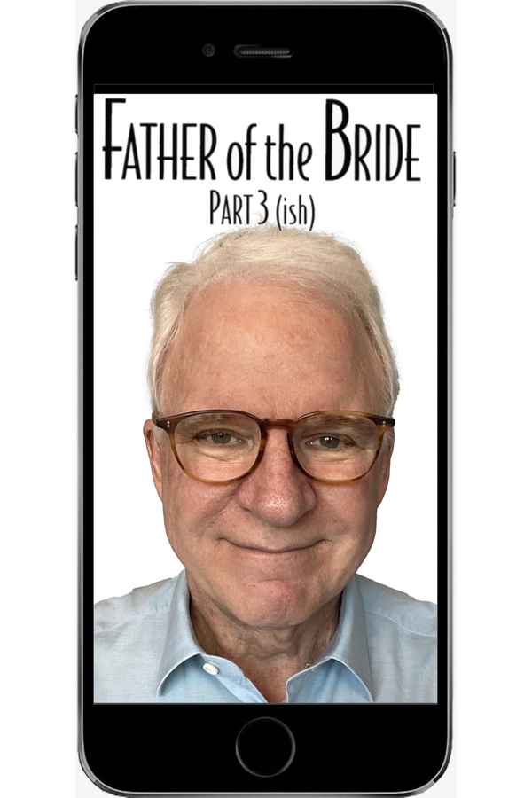 Father of the Bride Part 3 Poster 2