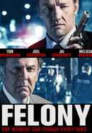 Felony Poster 5