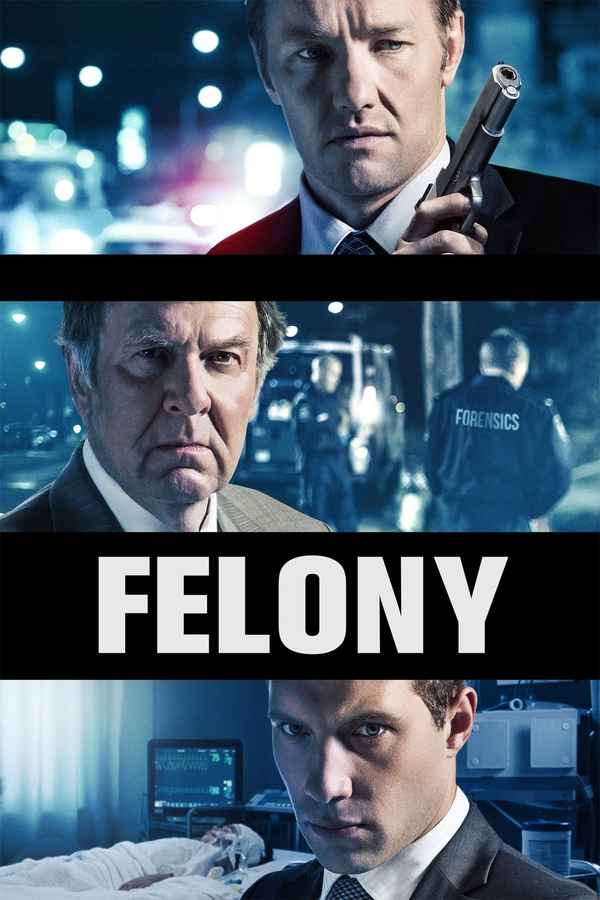 Felony Poster 2