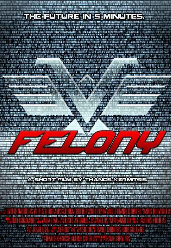 Felony Poster 6