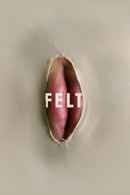 Felt Poster 4