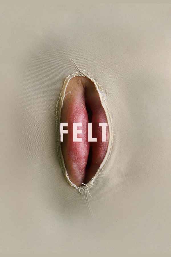 Felt Poster 4