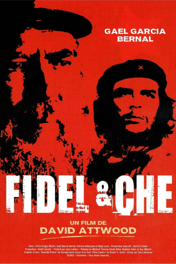 Fidel Poster 2