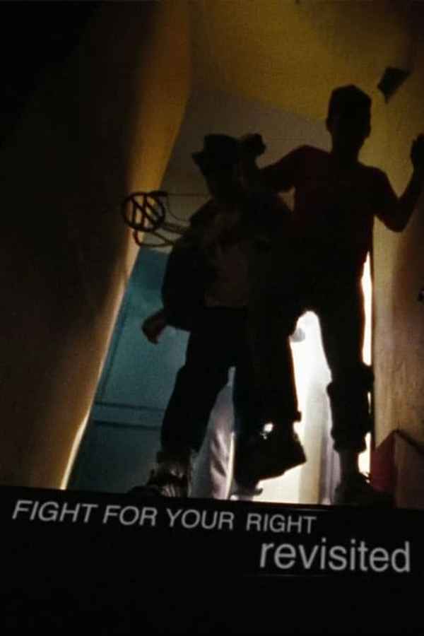 Fight for Your Right Revisited Poster 2