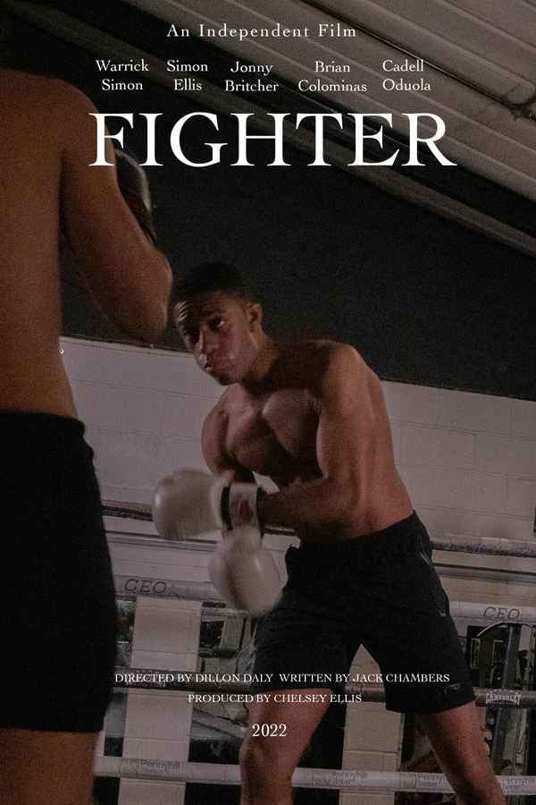 Fighter Poster 5