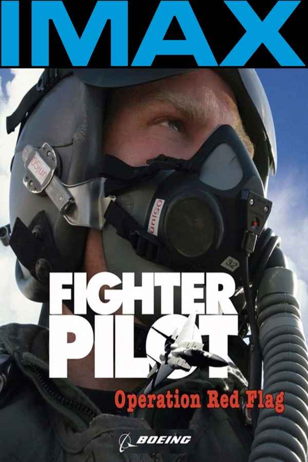 Fighter Pilot: Operation Red Flag Poster 4