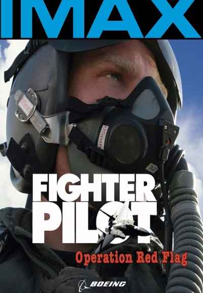 Fighter Pilot: Operation Red Flag