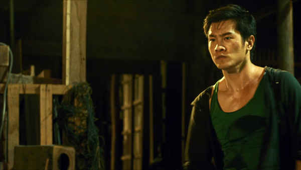 Fighting Fish Poster 3