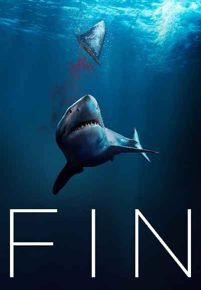 FIN