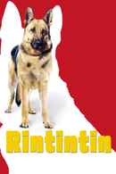 Finding Rin Tin Tin Poster 4