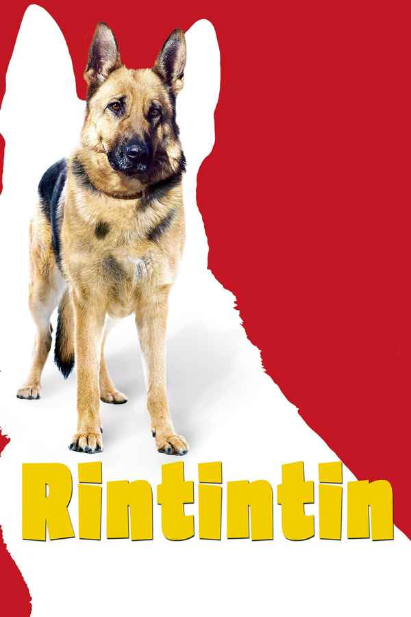 Finding Rin Tin Tin Poster 4