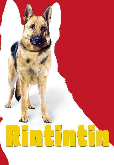 Finding Rin Tin Tin