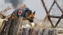Finding Rin Tin Tin Poster 1