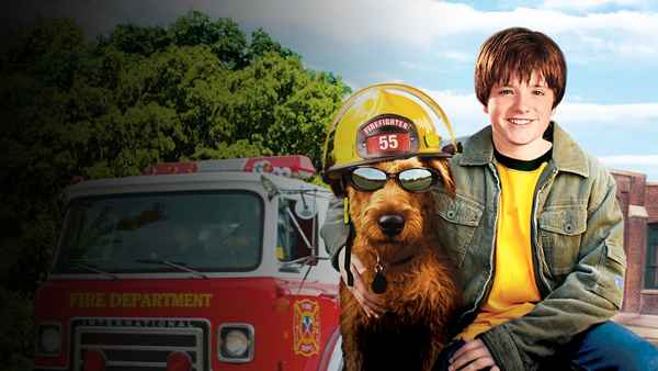Firehouse Dog Poster 2