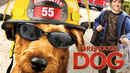 Firehouse Dog Poster 6