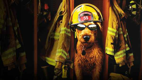 Firehouse Dog Poster 1