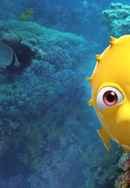 Fish School Poster 1