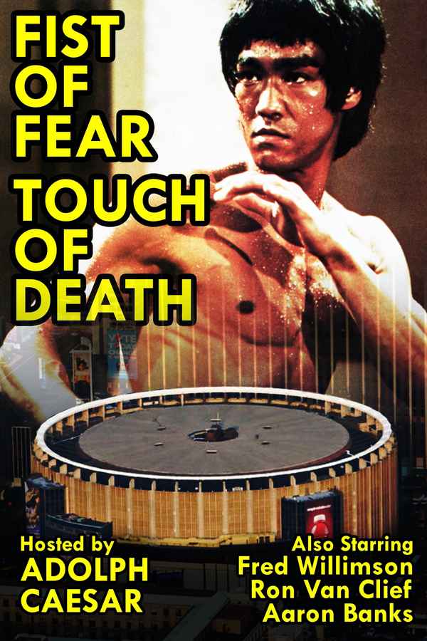 Fist of Fear, Touch of Death Poster 2