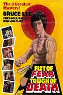 Fist of Fear, Touch of Death Poster 6