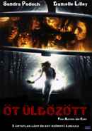 Five Across the Eyes Poster 4