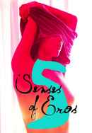 Five Senses of Eros Poster 6
