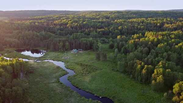 FLEE THE LIGHT Poster 3