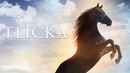 Flicka Poster 2