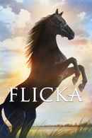 Flicka Poster 3