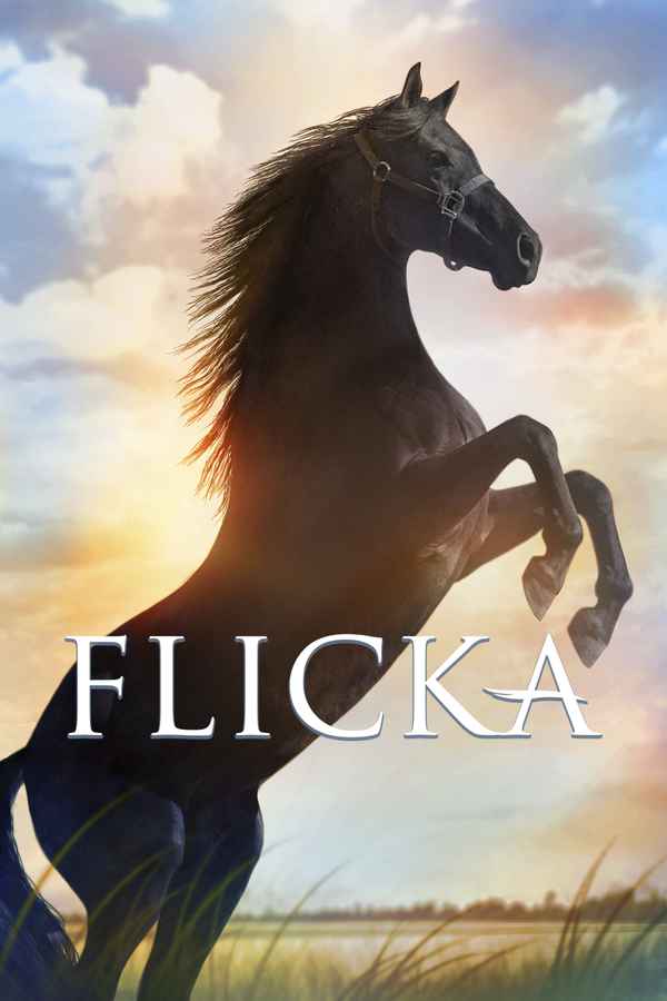 Flicka Poster 3