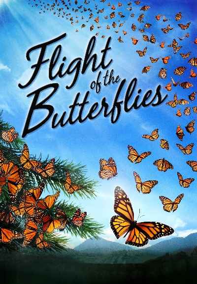 Flight of the Butterflies