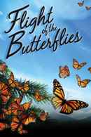Flight of the Butterflies Poster 6