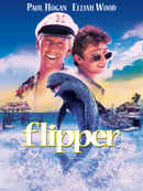 Flipper Poster 4